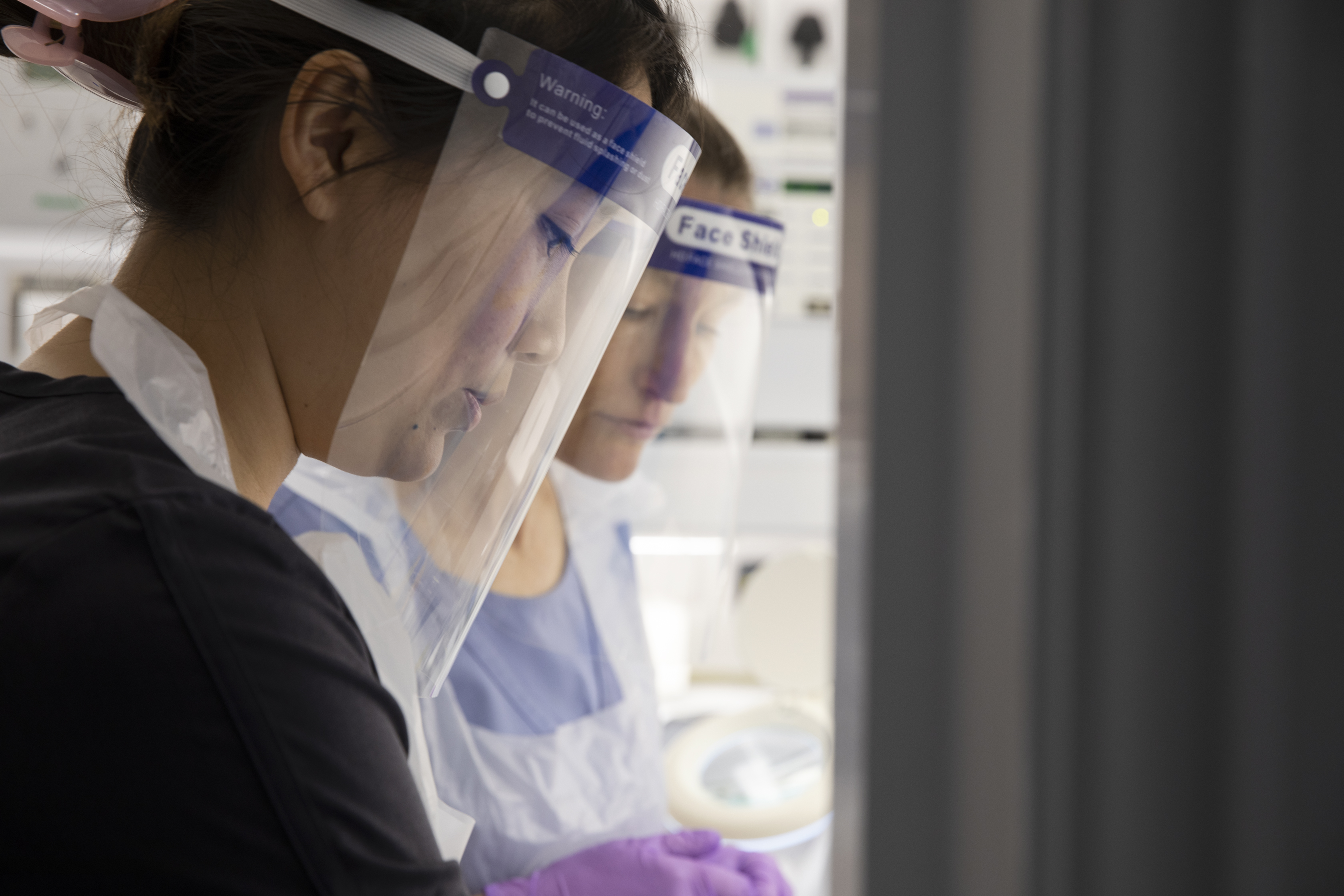 NCFE Dental 6 RGB LR